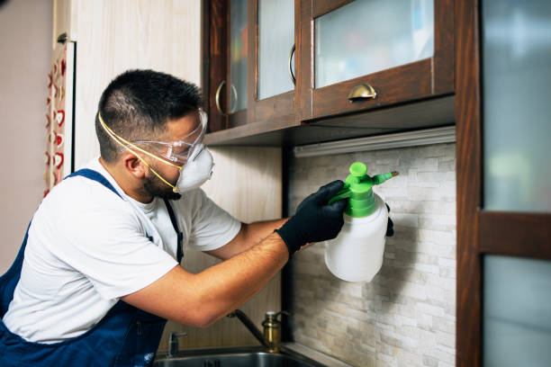 Best Local Pest Control Services  in Liberty, IN