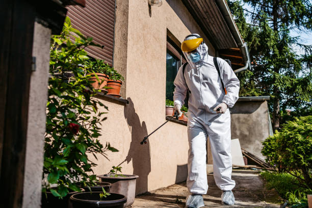 Best Rat Extermination Near Me  in Liberty, IN