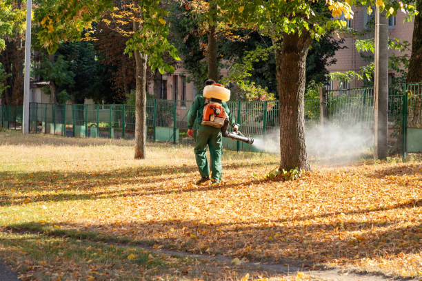 Best Pest Control Near Me  in Liberty, IN