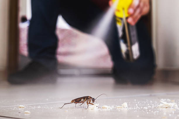 Best Mosquito Control Services  in Liberty, IN