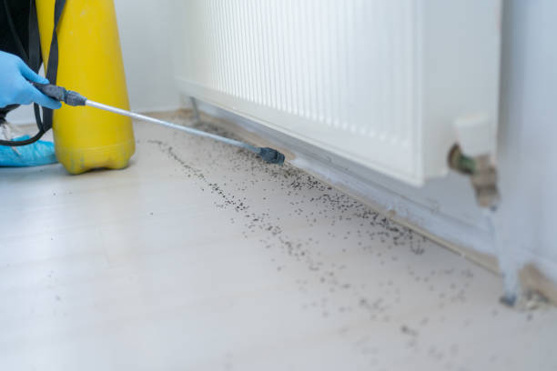 Best Flea Control Services  in Liberty, IN