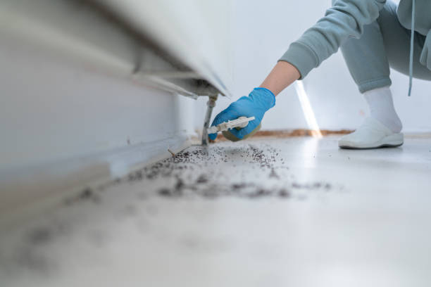 Best Best Pest Control Companies  in Liberty, IN